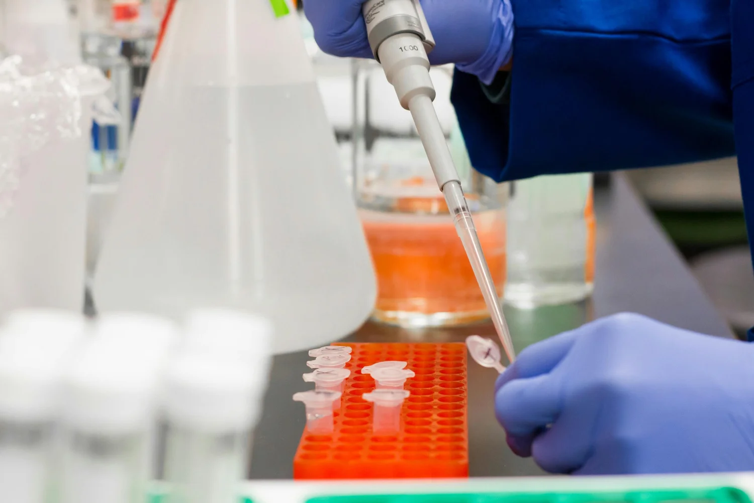 Determination of Nitrates, Nitrites, Phosphates, Sulphates in Food Products