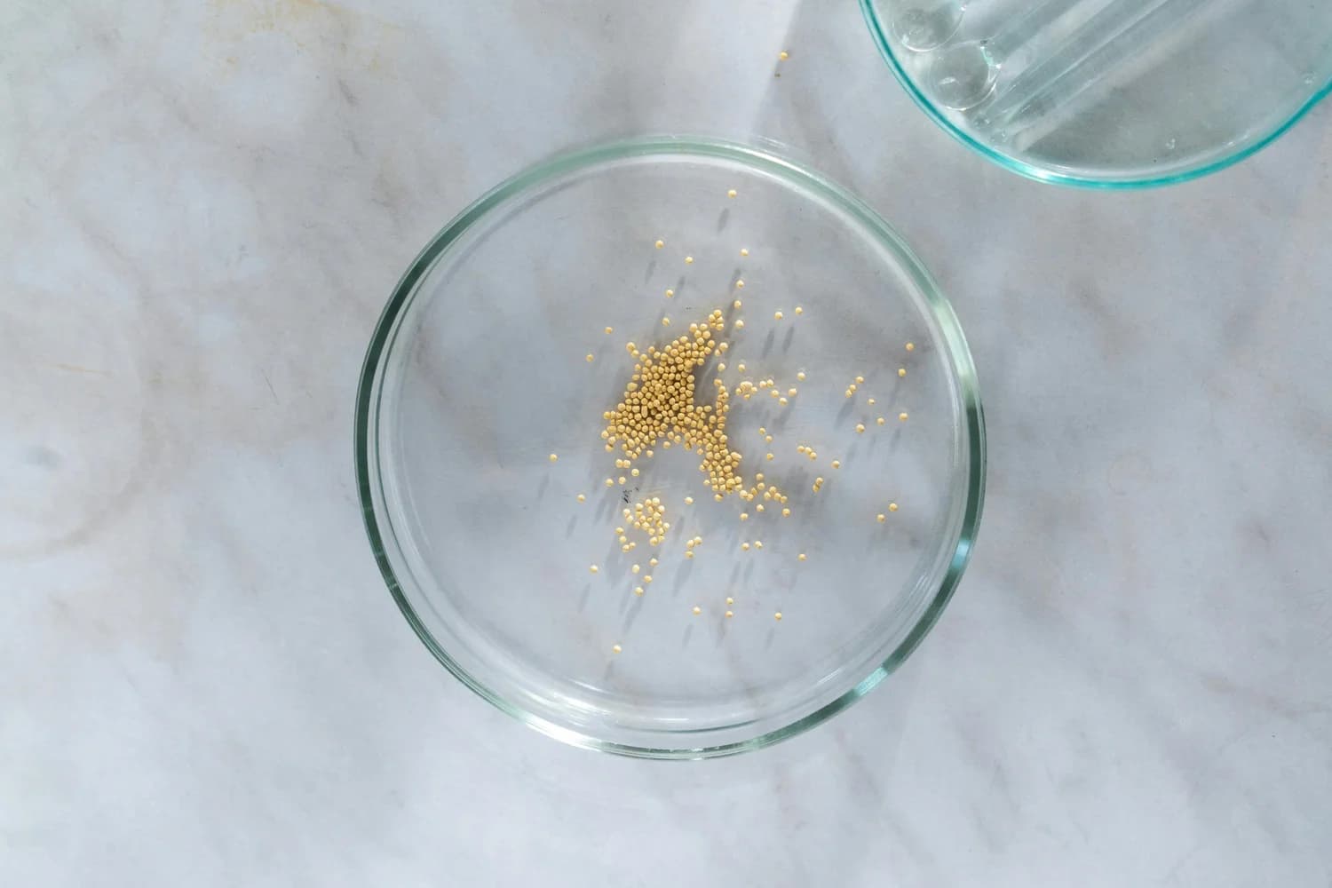 Determination of Residues in Food, Water and Feed Samples