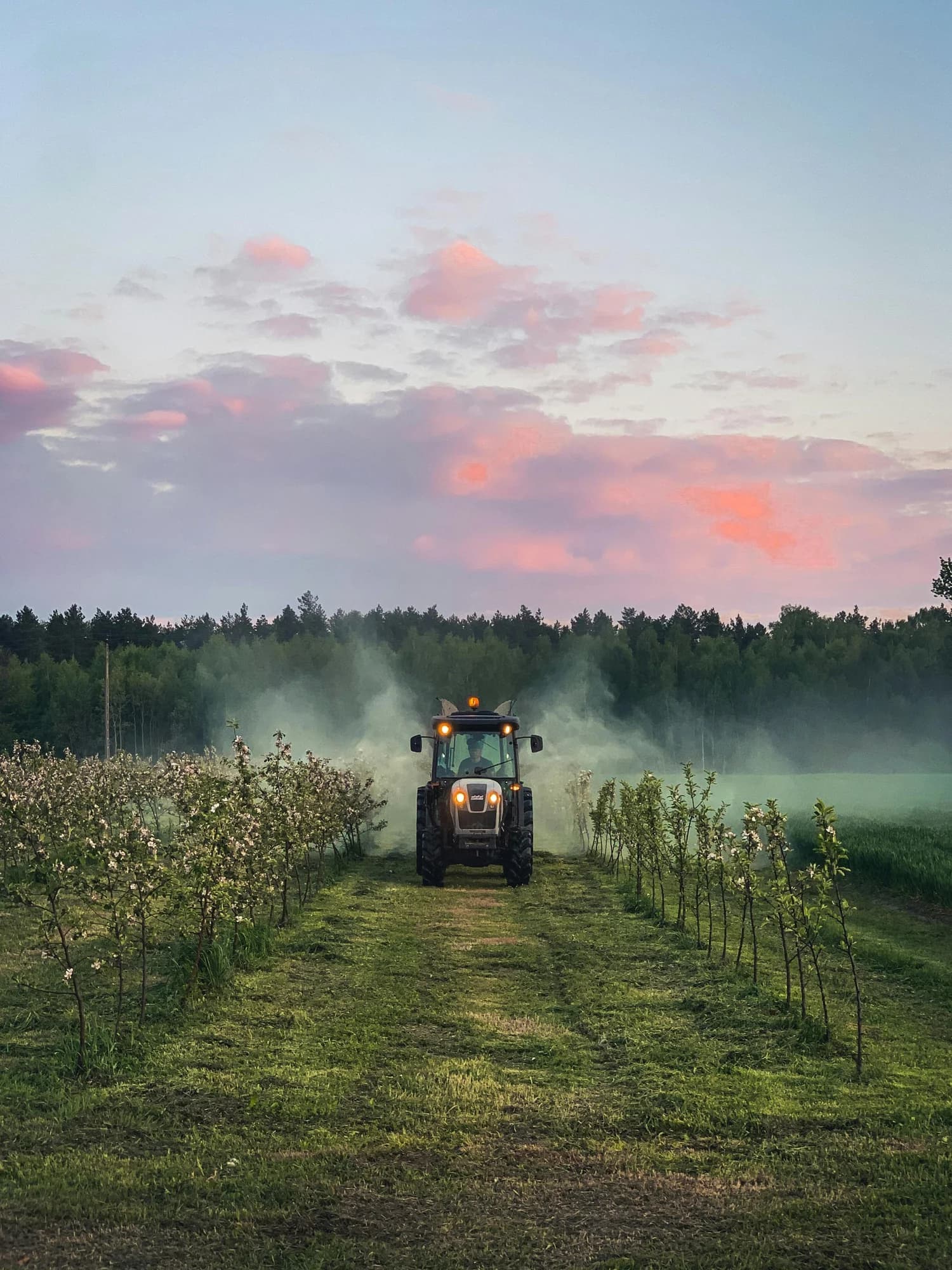 Determination of Pesticide Residues